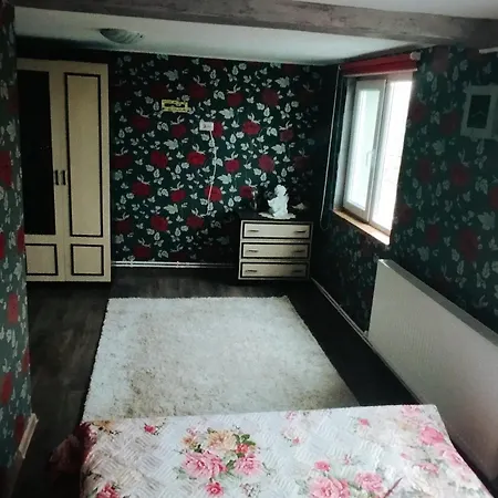 La 4 Turturici Năvodari